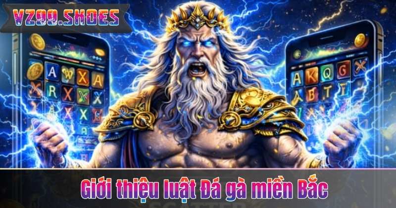 Giới thiệu luật Đá gà miền Bắc