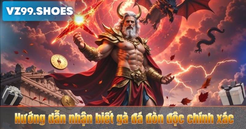 Gà Đá Đòn Độc – Bí Quyết Tấn Công Hiểm Hóc Của Những Chiến Kê Mạnh 6 Hướng dẫn nhận biết gà đá đòn độc chính xác