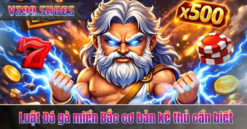 Luật Đá gà miền Bắc cơ bản kê thủ cần biết