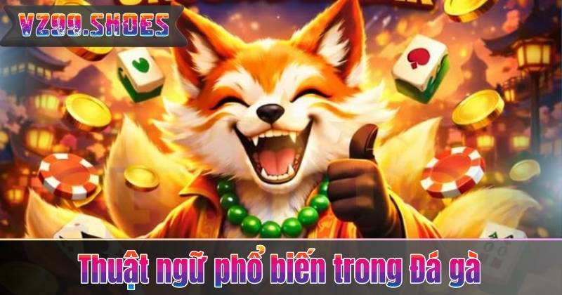 Thuật ngữ phổ biến trong Đá gà